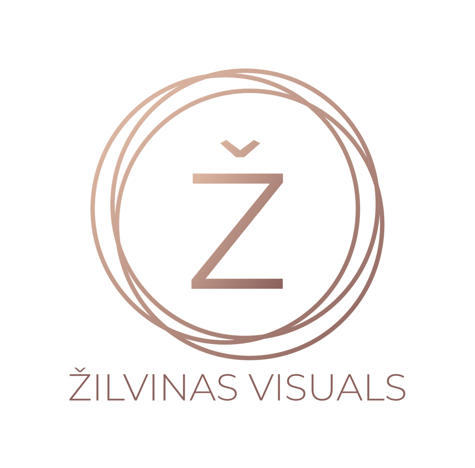 logo transparent png scaled